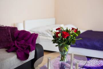 Фотографии Апартаменты ApartHouse Apartamenty Centrum г. Сосновец (Польша) №1 Фото Апартаменты ApartHouse Apartamenty Centrum г. Сосновец 1